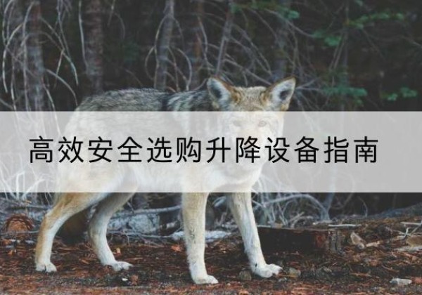 南京升降货梯厂家推荐-*安全选购升降设备指南