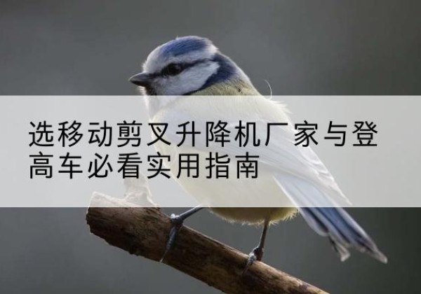 南京电动升降机厂家-选移动剪叉升降机厂家与登高车必看实用指南