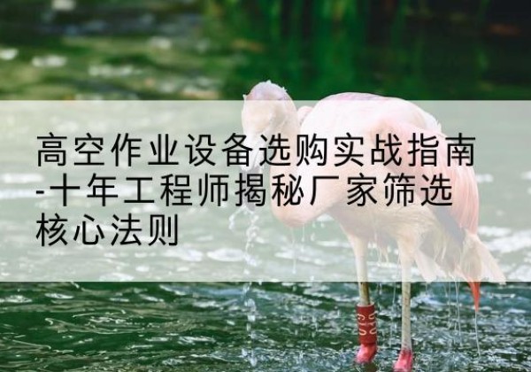 南京剪叉式升降机厂家-高空作业设备选购实战指南-十年工程师揭秘厂家筛选核心法则